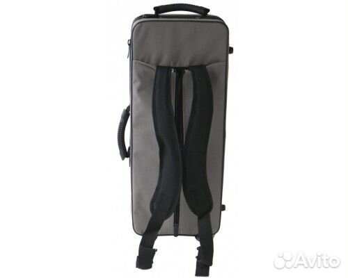 Roy Benson AS-202 Eb альт-саксофон