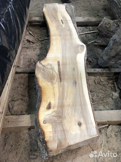 Слэбы Карагач