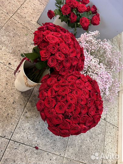 101 роза круглосуточно 51 21 31 55 Сочи Адлер
