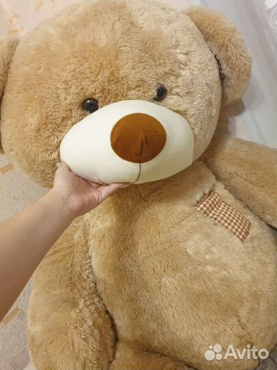 Плюшевый медведь
