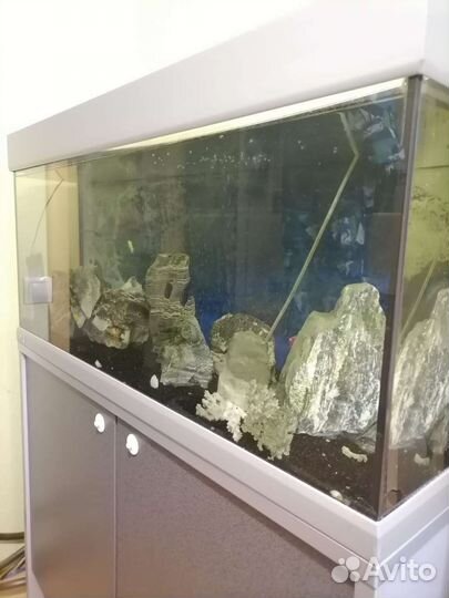 Аквариум (террариум) 180 л. Eheim