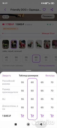 Костюм для большой собаки