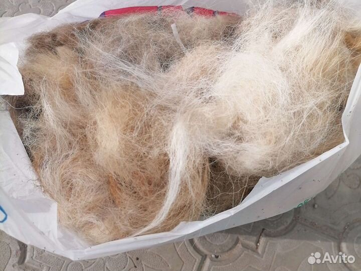 Собачья шерсть