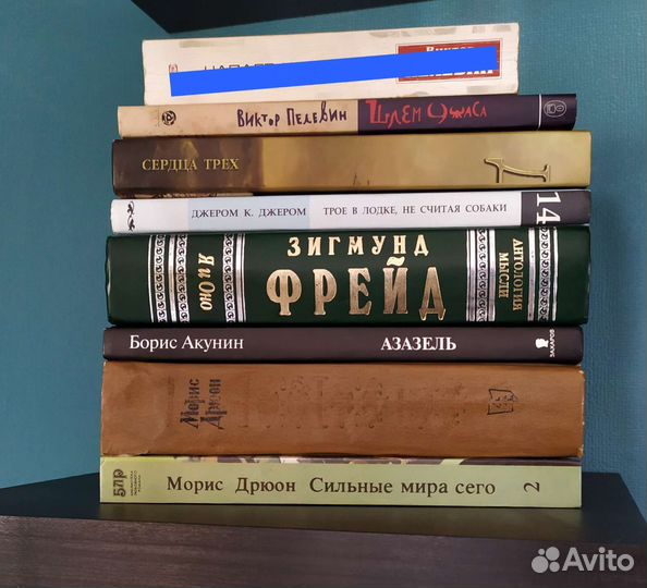 Книги часть 1 (Мураками, Пелевин, Акунин и др.)