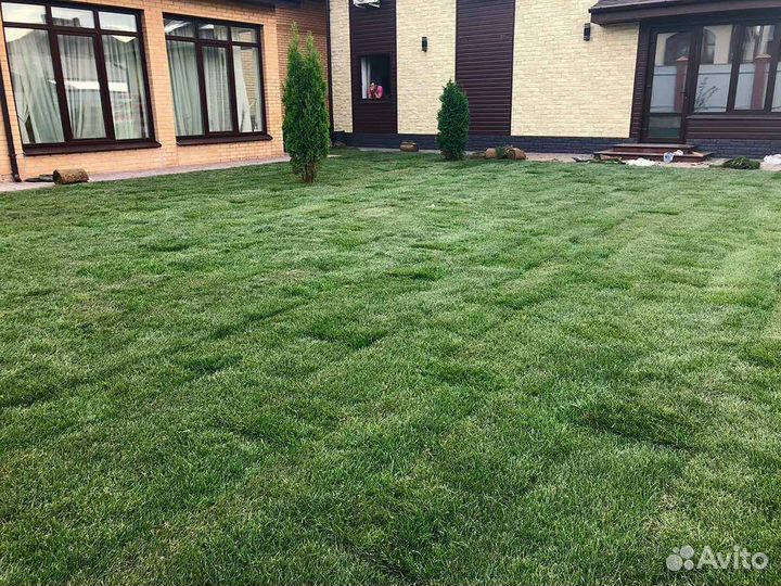 Рулонный газон напрямую от производителя