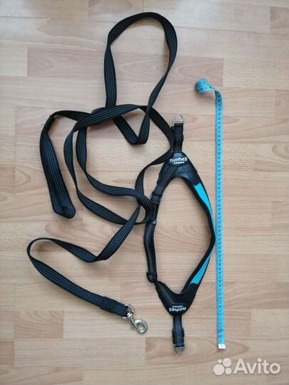 Шлейка и поводок