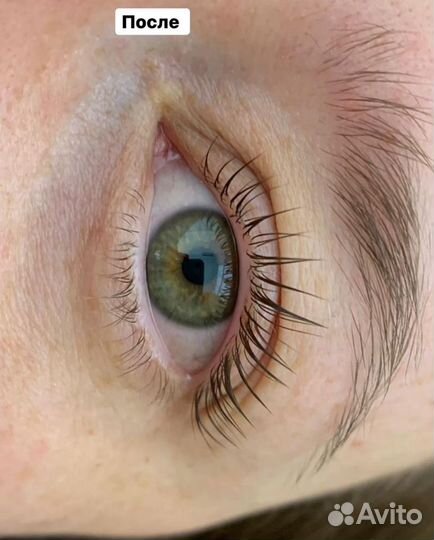 Ламинирование ресниц inlei (Италия)