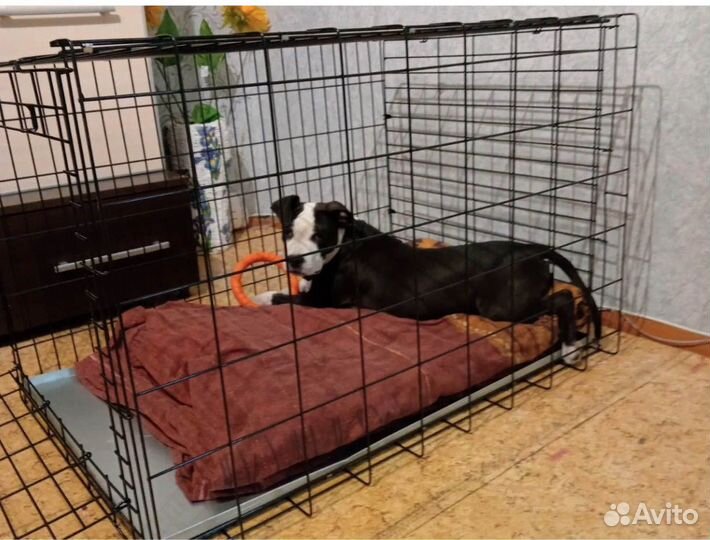Клетка для собак