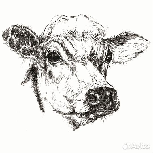 Тракторист машинист