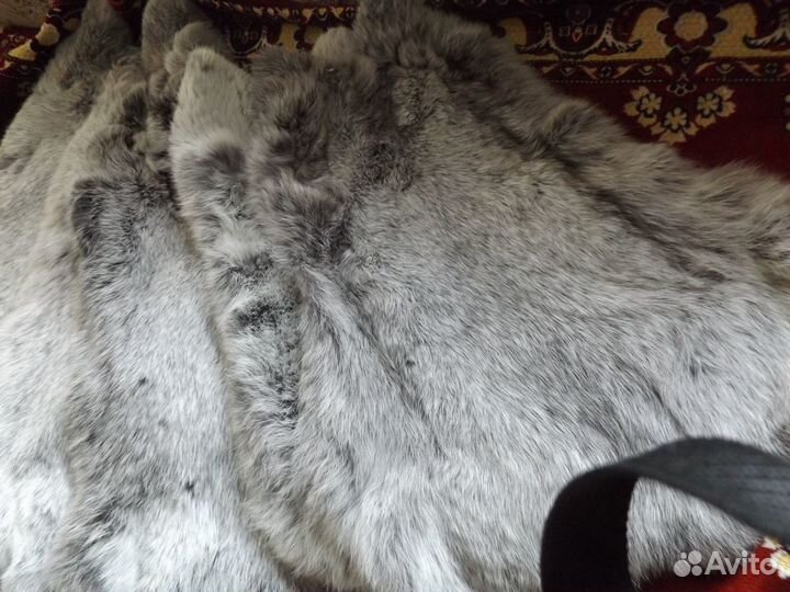 Шкурки кролика большое светлое серебро