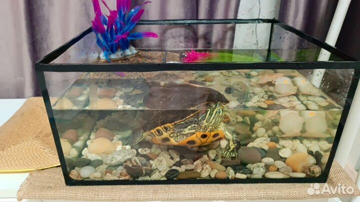 Аквариум 60х39х36 80 литров