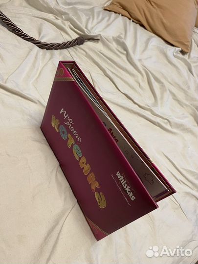 Фотоальбом для кота