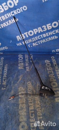 Антенна Ford Focus 3 седан iqdb 2013