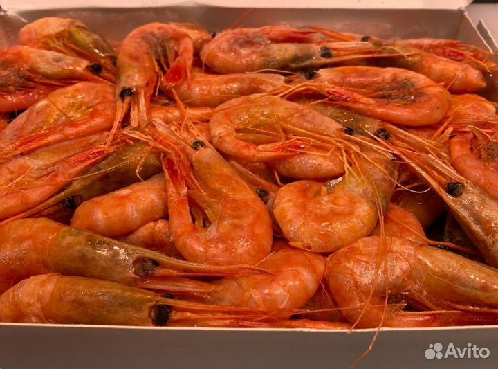 Креветка северная. Крупные. Свежие