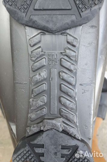 Горные лыжи fischer 160, и сапоги Head