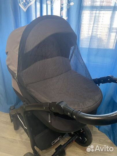 Noordi polaris sport