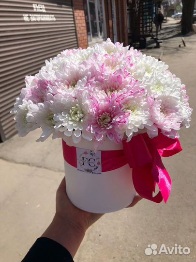 Хризантемы в боксе