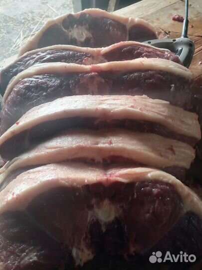 Мясо конина (от 12.11.23
