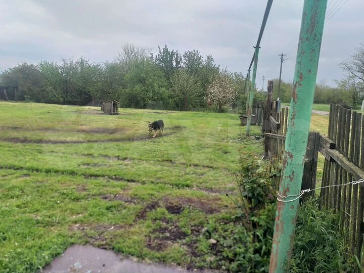 Дом 92 м² на участке 64 сот.