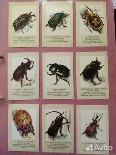 Фауна на карманных календарях