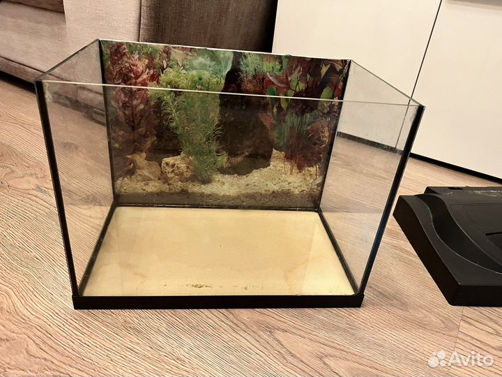 Аквариум