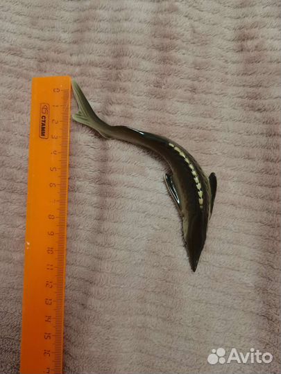 Статуэтка рыбка осетр