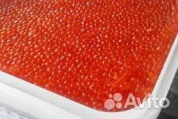 Красная икра оптом