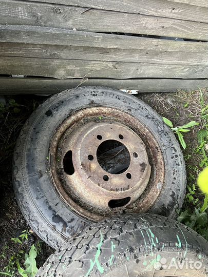 Калеса газель