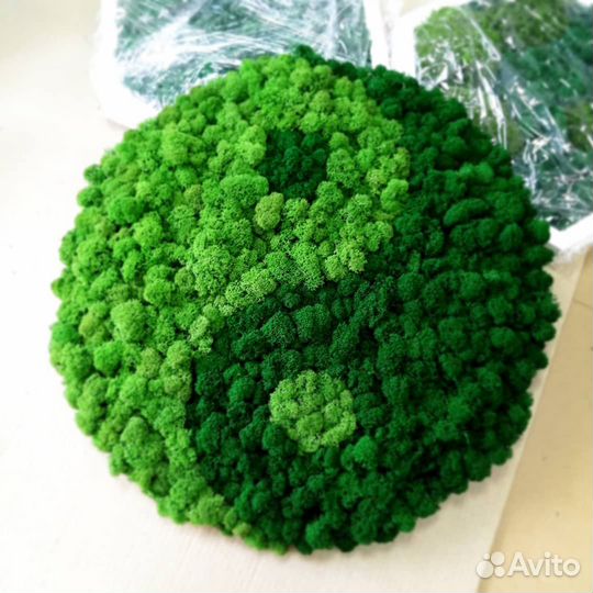 Экокартина инь-янь