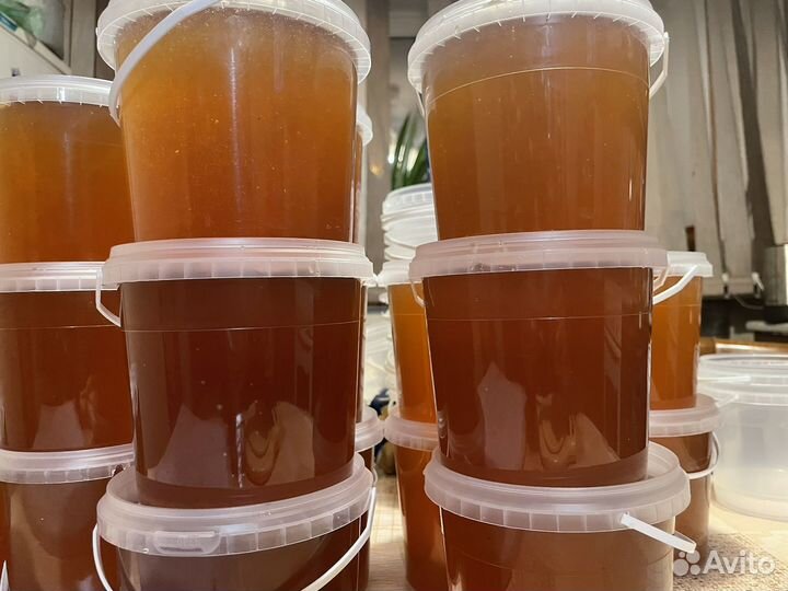 Мёд таежный. Мед натуральный, перга