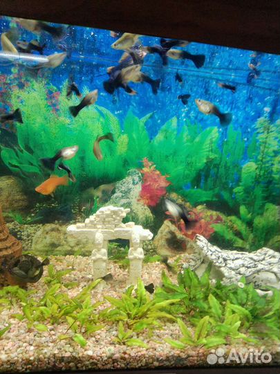 Украшение для аквариума