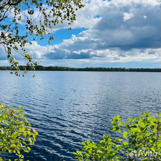 Прудовое хозяйство