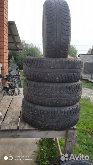 Firestone Ice Cruiser 7 205/55 R16