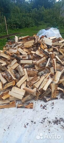 Кольщик дров