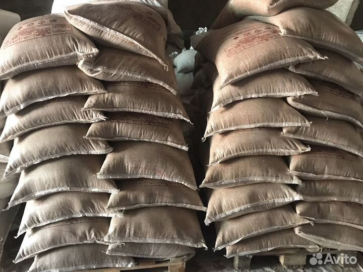 Пшеница кормовая