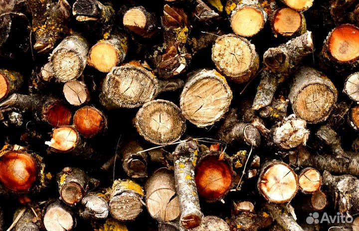 Дрова премиальные