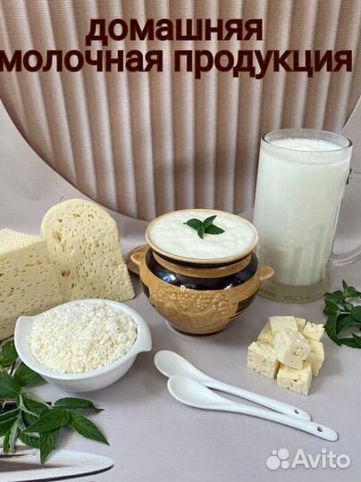 Молочные продукты