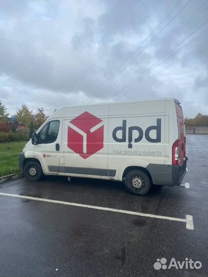 Водитель на своей газели