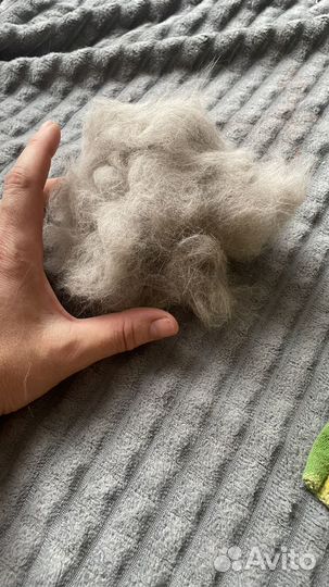 Кошачья шерсть вычес