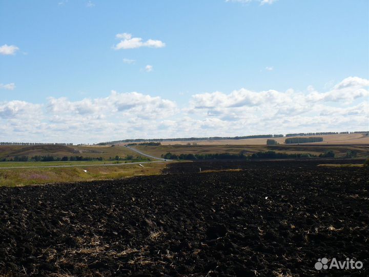 Чернозем для огорода