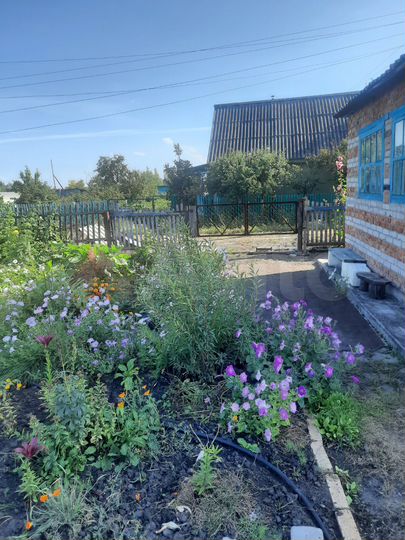 Дача 29 м² на участке 6 сот.