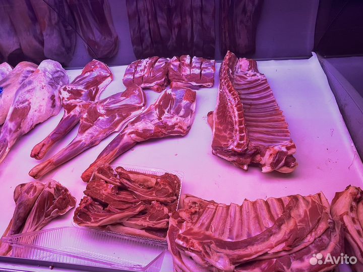 Мясо ягнятина баранина бараны