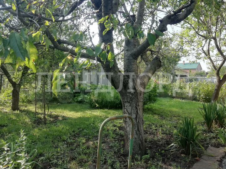 Участок 5,1 сот. (ИЖС)