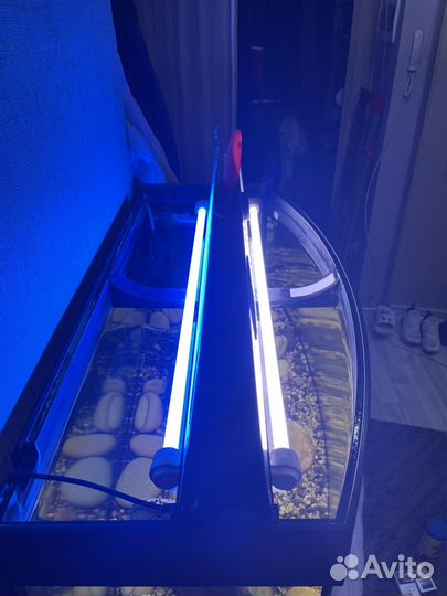 Аквариум с тумбой juwel 180 литров