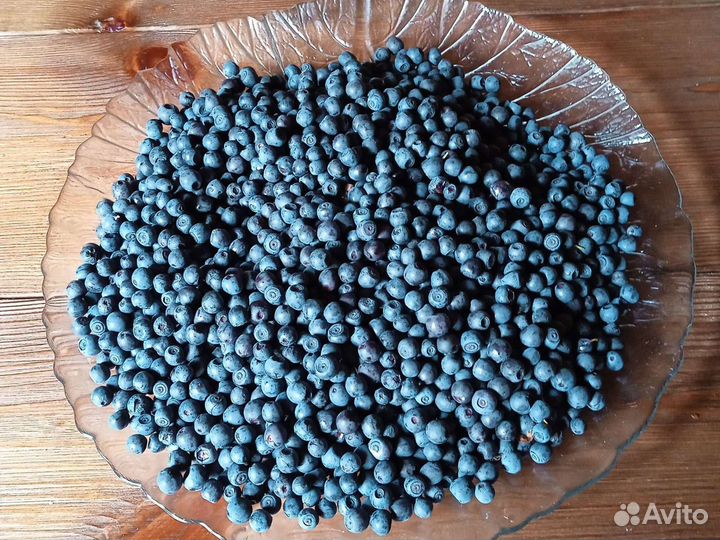 Черника свежая