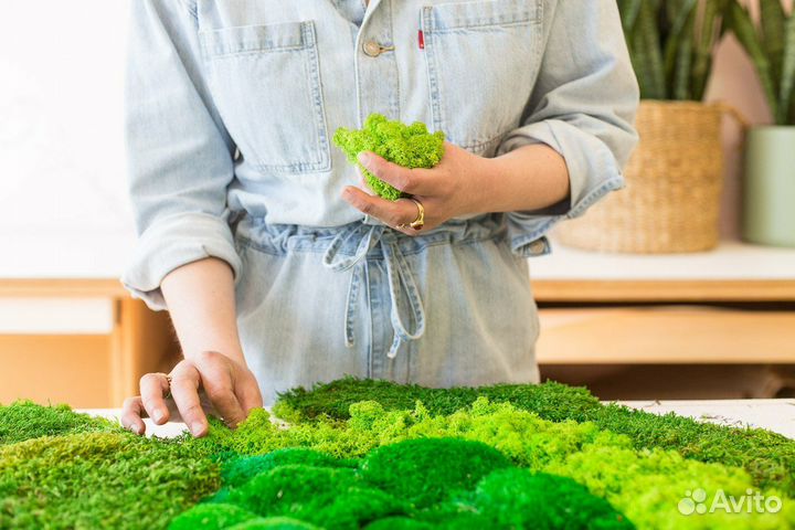 Панно из мха: природная красота для вашего интерьера Арт: 213741