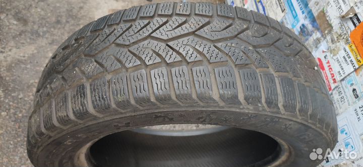 General Tire Altimax Winter Plus 205/55 R16 91T