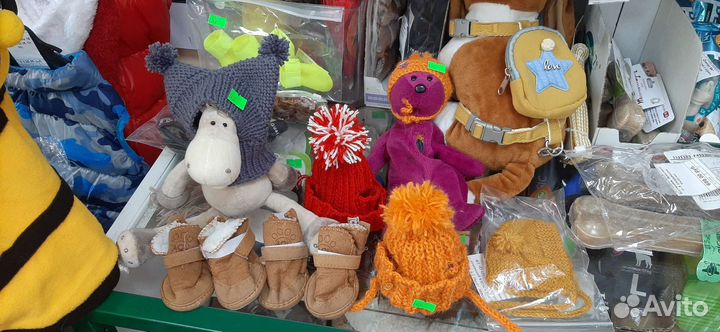 Товары для животных