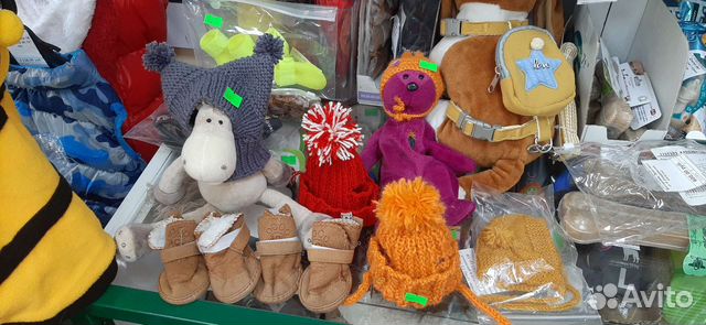 Товары для животных