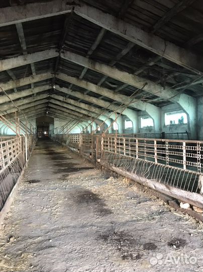 Мясомолочнач ферма